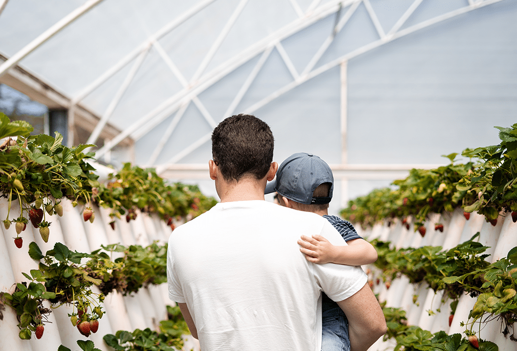 Acurity-SmartBuildings_Binnentuin1